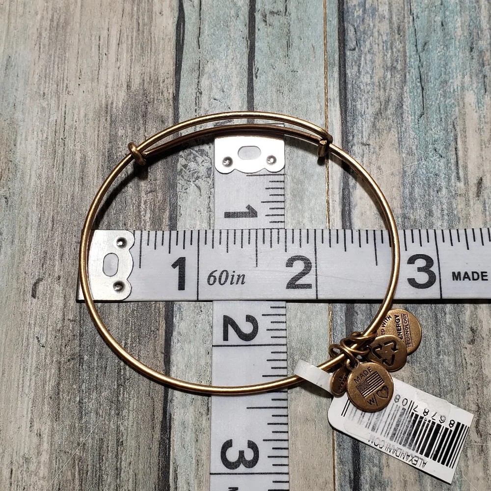 Alex and Ani Energy Bracelet. - Picture 2 of 5